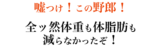 嘘つけ!この野郎!